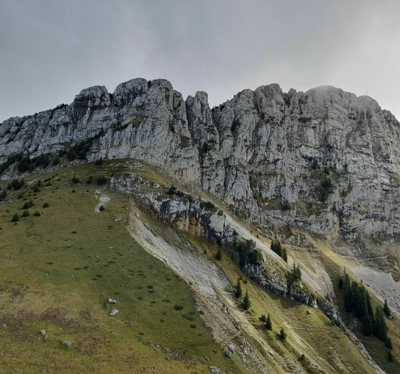 Le Grand Som en boucle avec Dôme de Mauvernay - Saint-Pierre-de-Chartreuse