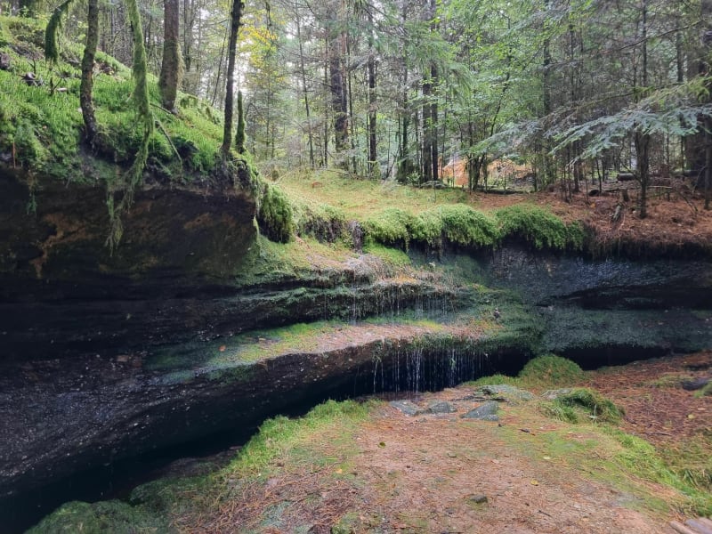 Roche Goutteuse et Roche Chardot - Épinal