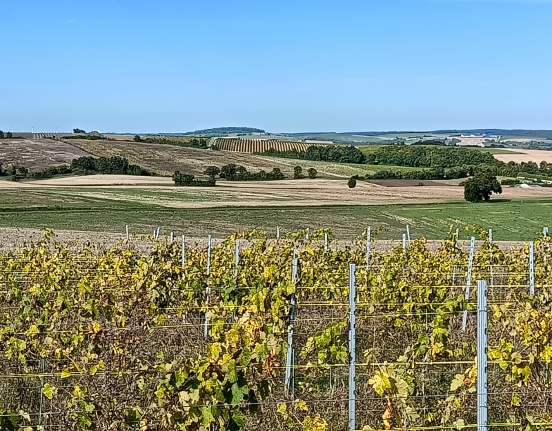Randonnée à la campagne de Gourville - Rouillac