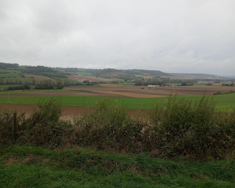 Balade à Douvrend - Douvrend