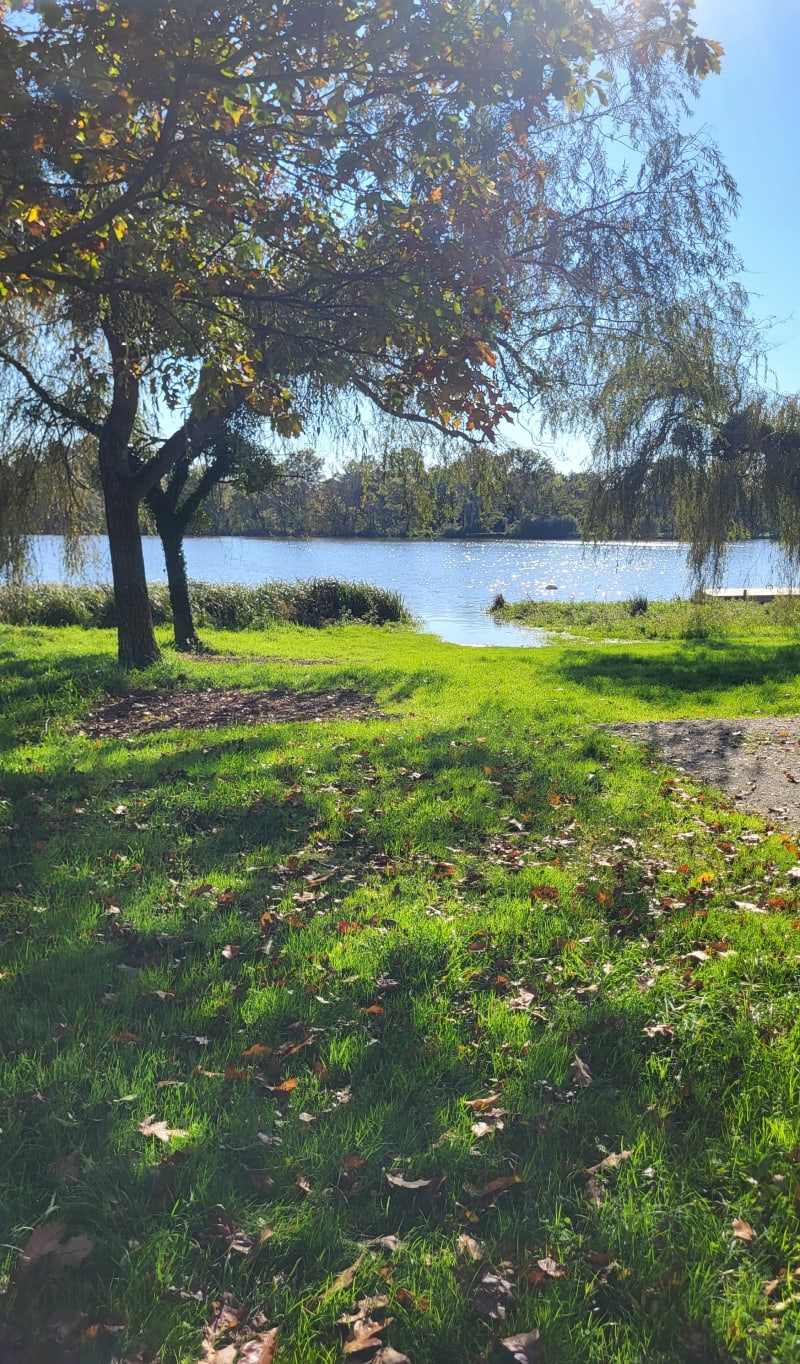 Le Pommain et le tour du lac de Bout de Bois - Saffré