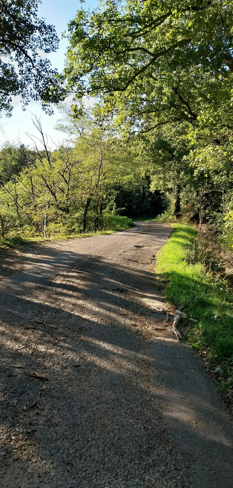 Les Roches qui Dansent - Saint-Barthélémy-de-Vals