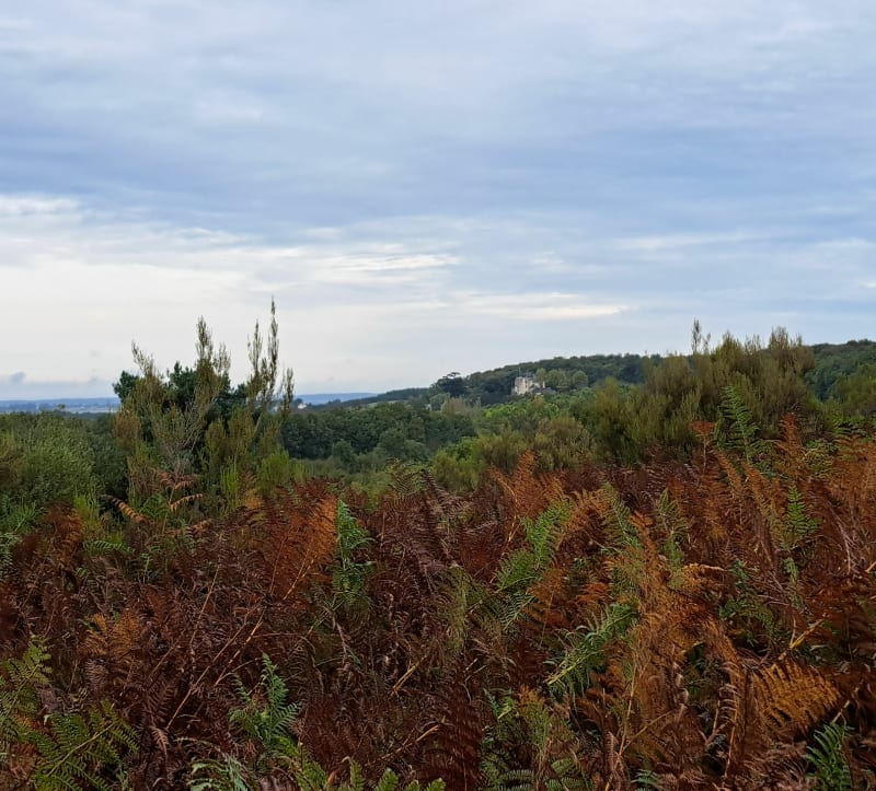 Marche Vouneuil - Vouneuil-sur-Vienne