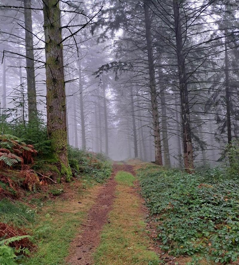 Boucle du Mont Larron - Saint-Julien-le-Petit