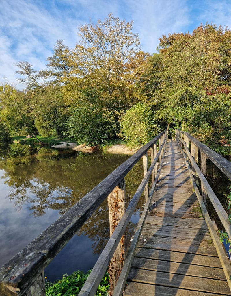 Balade en foret depuis le moulin de Charlot par le Pas du Loup - Marcenais