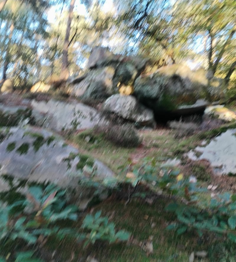 Balade autour de Boissy-le-Cutté, par Rocher Bizet - Boissy-le-Cutté