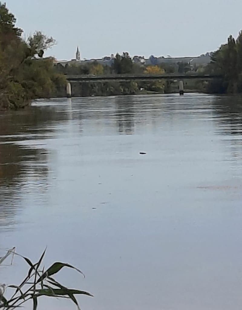 Libourne, entre La Dordogne et les vignes - Libourne