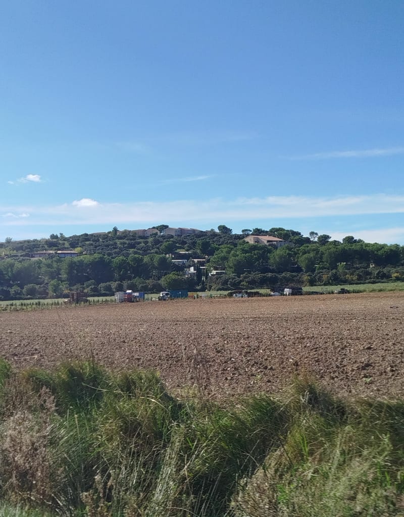 Calvisson arboretum manade et les 3 moulins - Calvisson