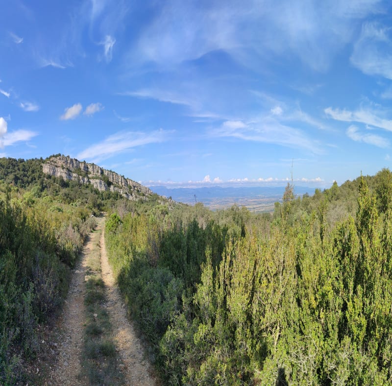 La nature en Alaric - Val-de-Dagne