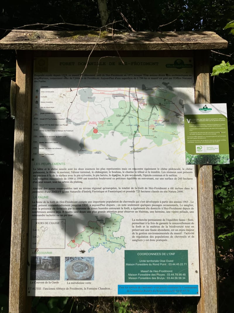 Randonnée en forêt de Hez-Froidmont - Hermes