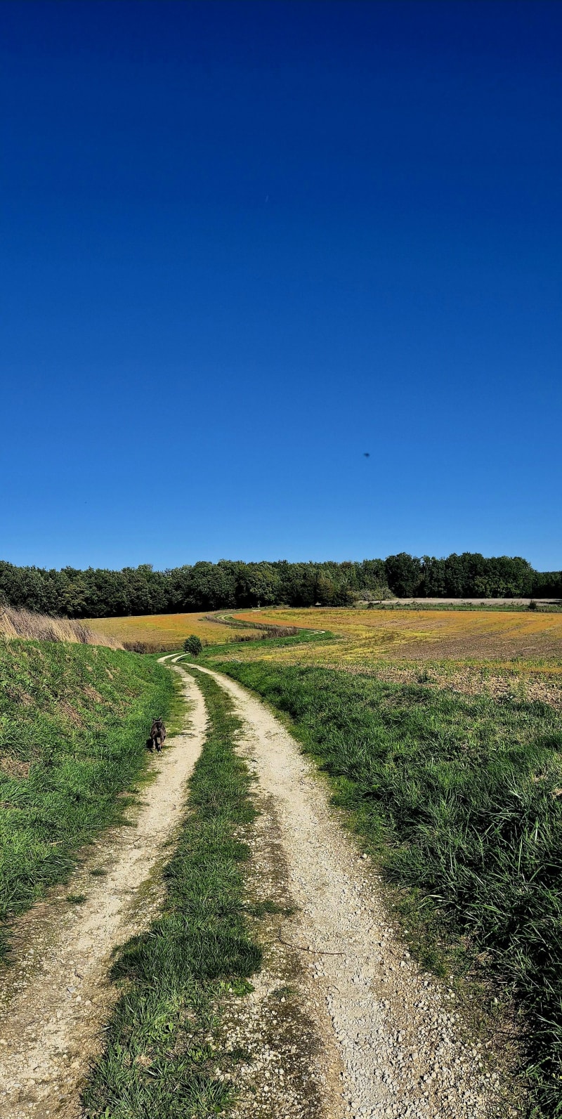 Petite balade 100% nature à Bussac - Magnac-sur-Touvre