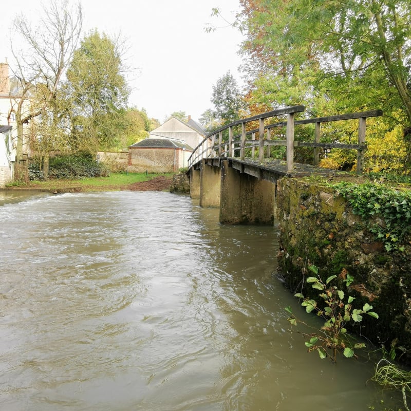 Balade près de l'eau entre St-Maur et le Rouvre - Saint-Maur-sur-le-Loir