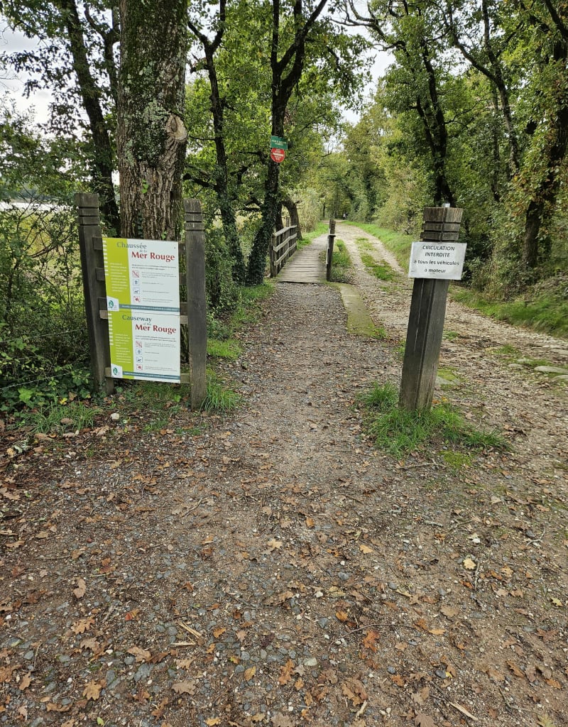Balade sur chemin - Rosnay