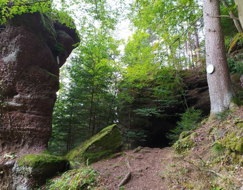 Boucle en forêt et rocher du Calice - Guntzviller