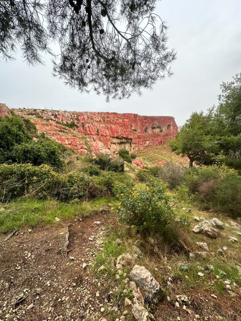 Montée à l'Aire de la Moure - Allauch