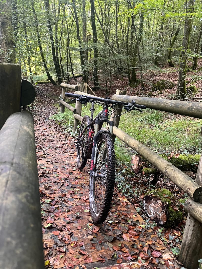 Boucle dans la forêt de Cerisy - Balleroy-sur-Drôme