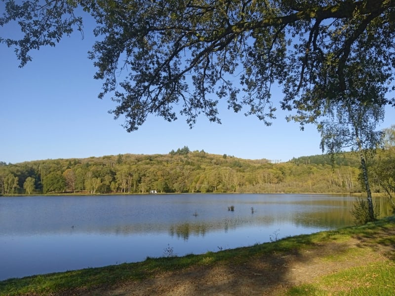 Col de la Sablonnade à Bonnac, par forêt et étang - Bonnac-la-Côte
