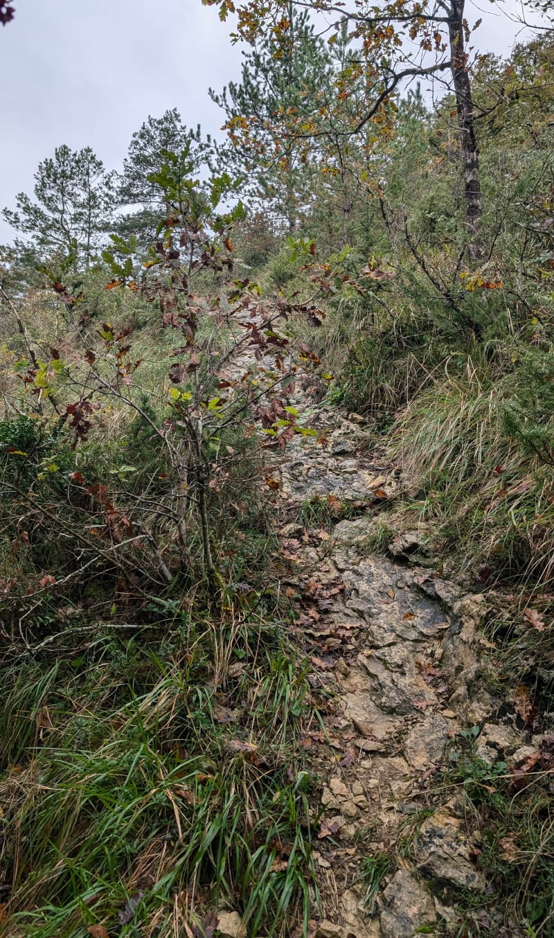 Tour dans les hauteurs de Chavannes - Nivigne et Suran