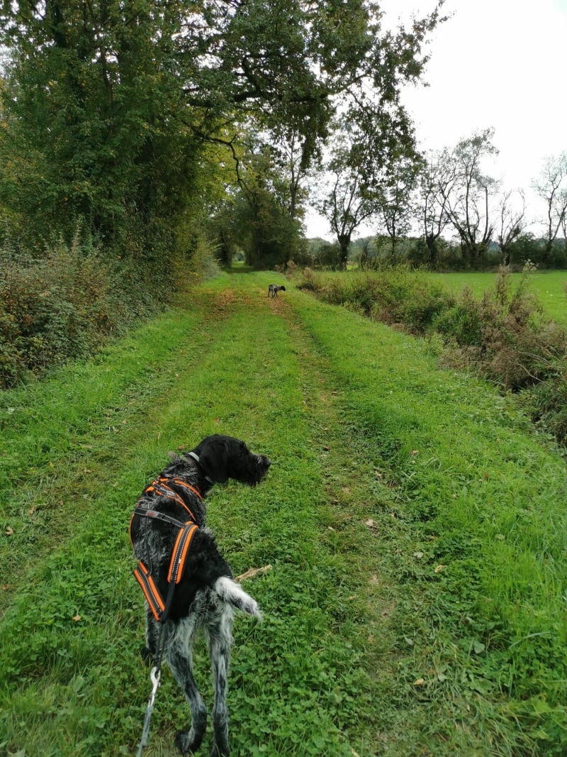 Balade sur les chemin de Biziat - Biziat