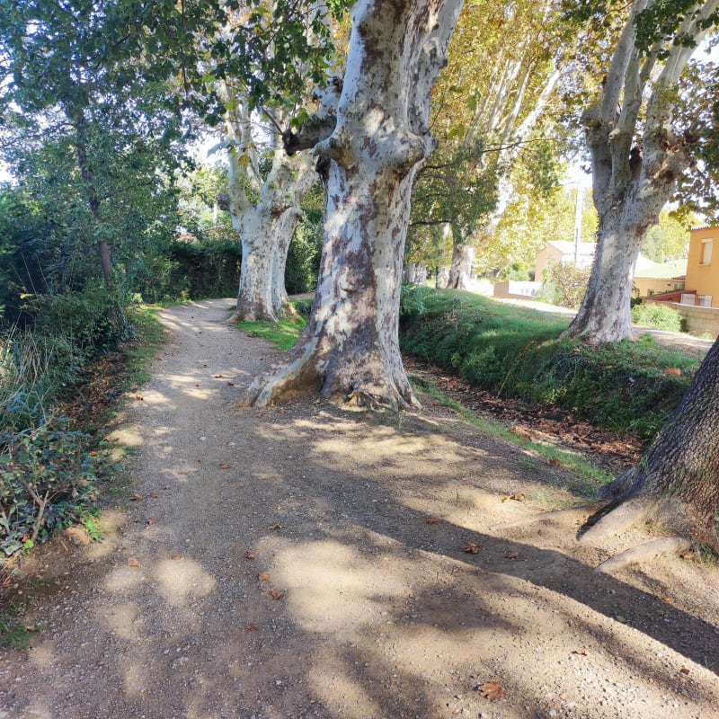 Toulouges, Canohes, et canal de Perpignan - Toulouges