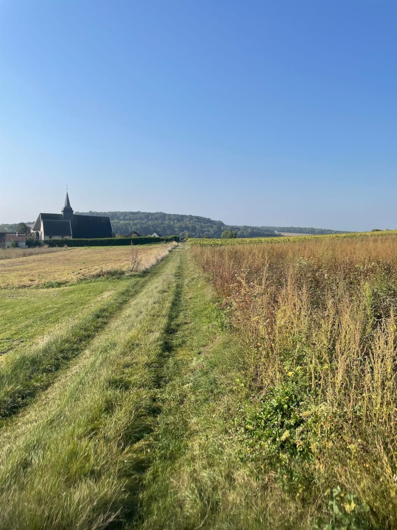 Sortie de Boves, direction le parc Éolien d’Oresmaux - Boves
