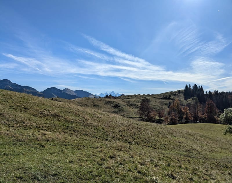 Pointe de Miribel - Onnion
