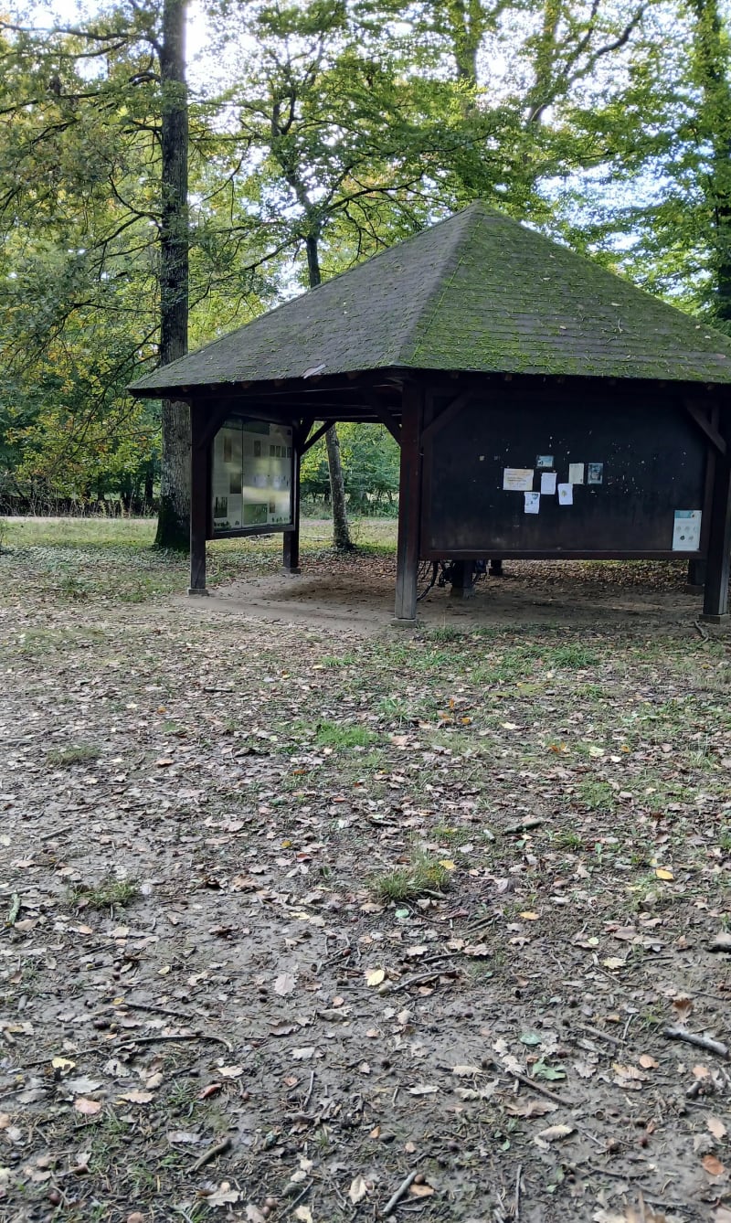 Forêt de Montargis - Châlette-sur-Loing