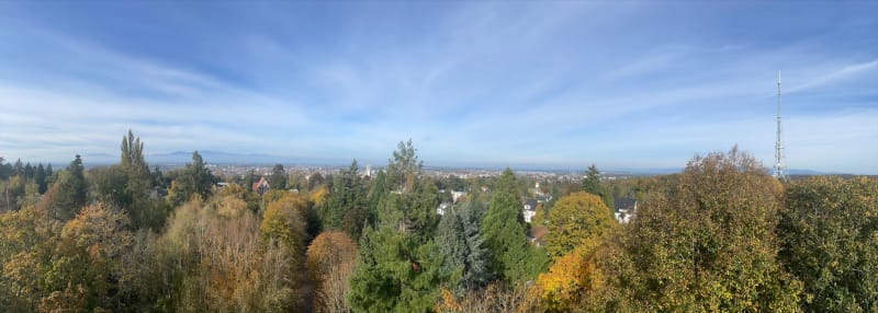 Découverte du Rebberg depuis la fonderie - Mulhouse
