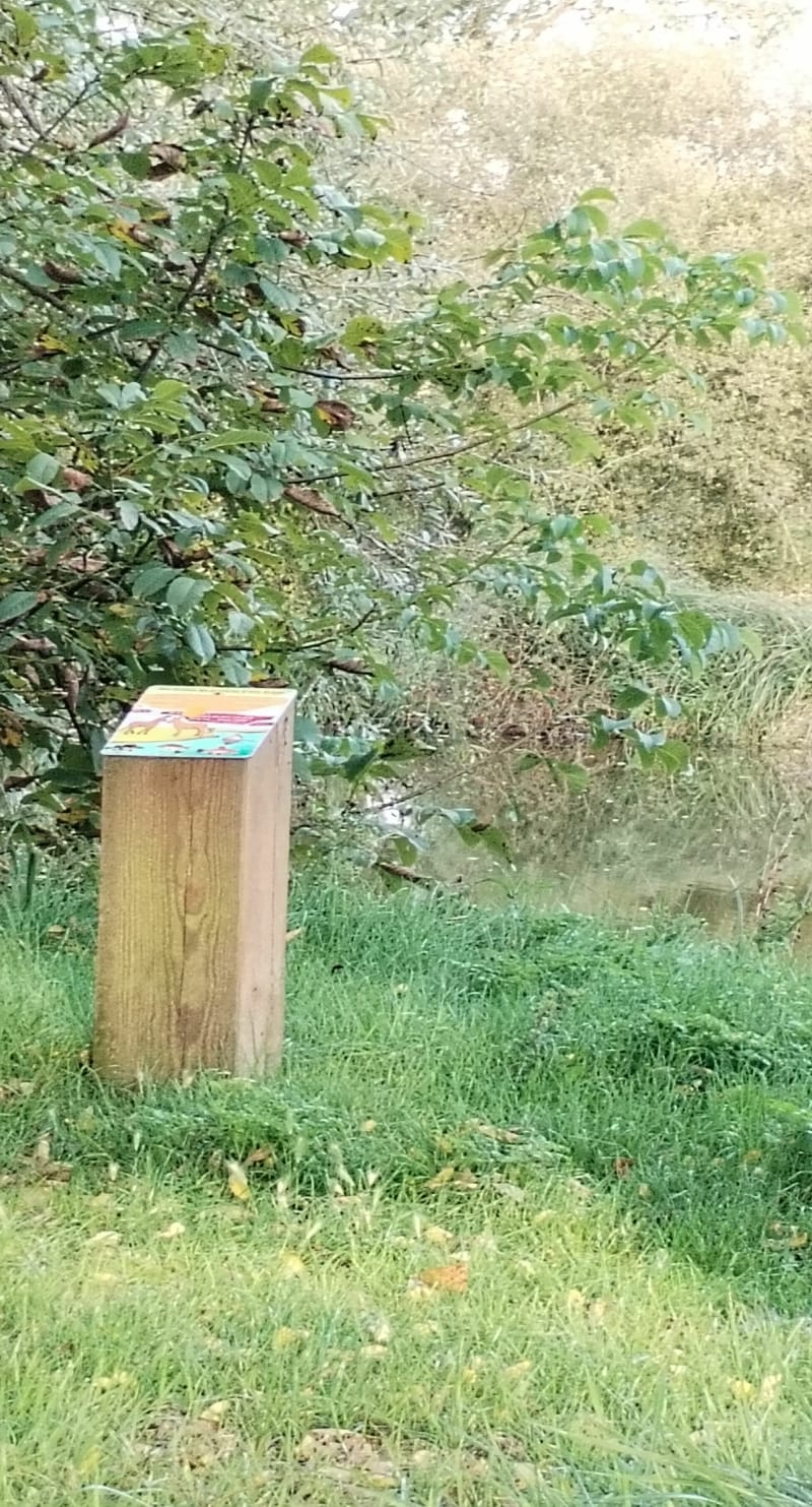 Autour de Varennes - Saint-Martin-la-Pallu