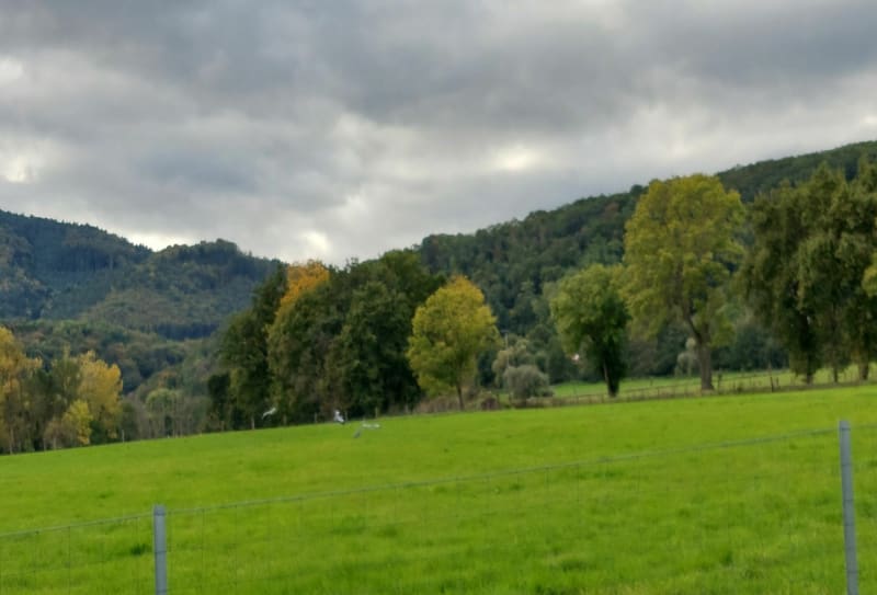 Entre boersch et ottrot - Obernai
