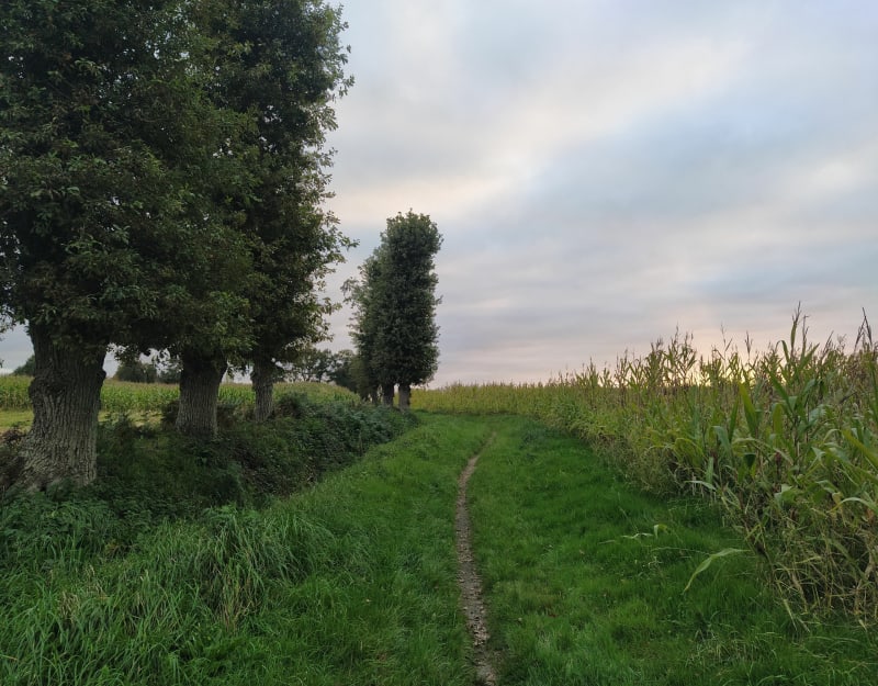 Boucle à saint Gilles - L'Hermitage