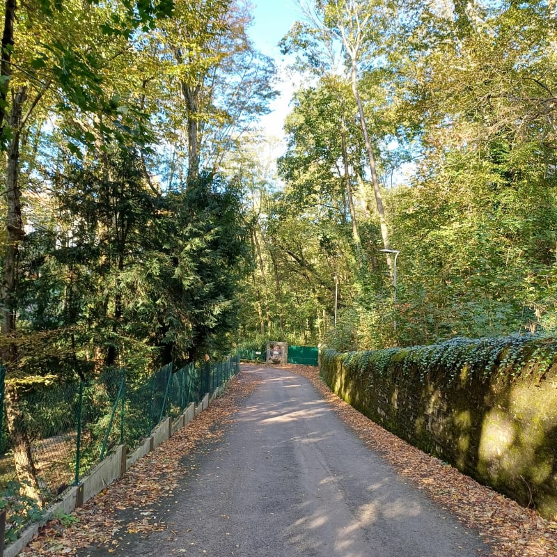 Au fil de l'eau, Monts d'Or et le Colin - Lyon