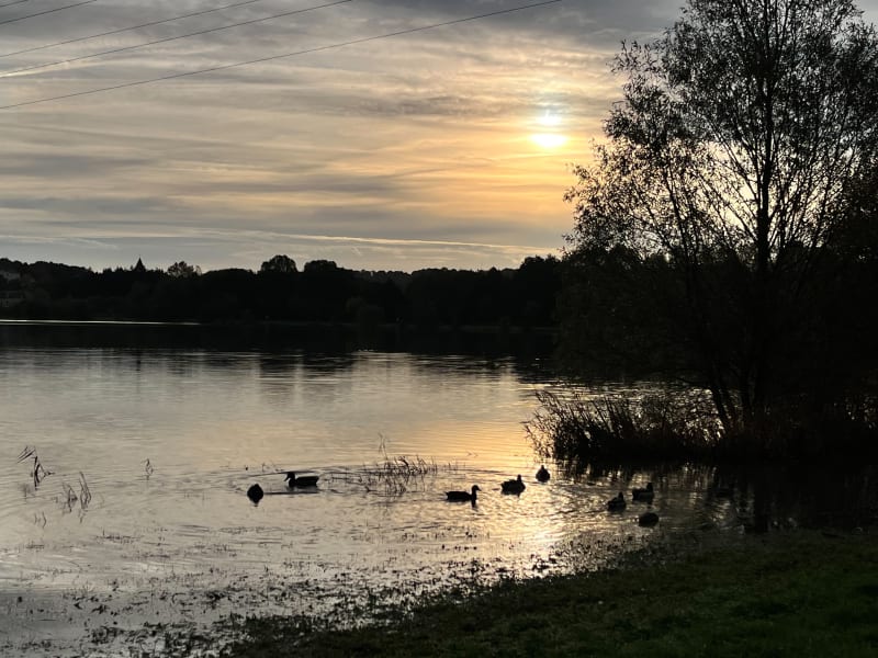 Boucle entre Nogent-le-Rotrou et le plan d’eau de Margon - Nogent-le-Rotrou