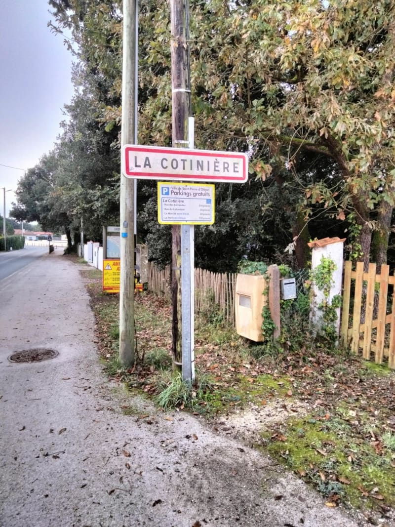 Promenade à Oléron. - Saint-Georges-d'Oléron