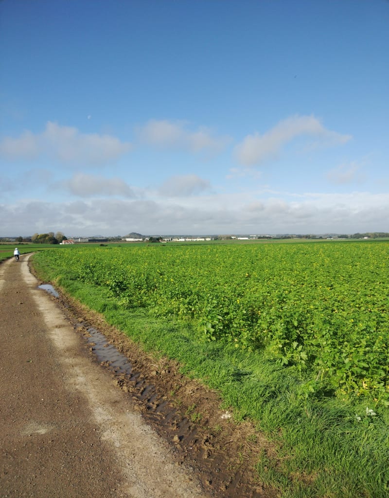 Balade à travers champs à Barlin - Barlin