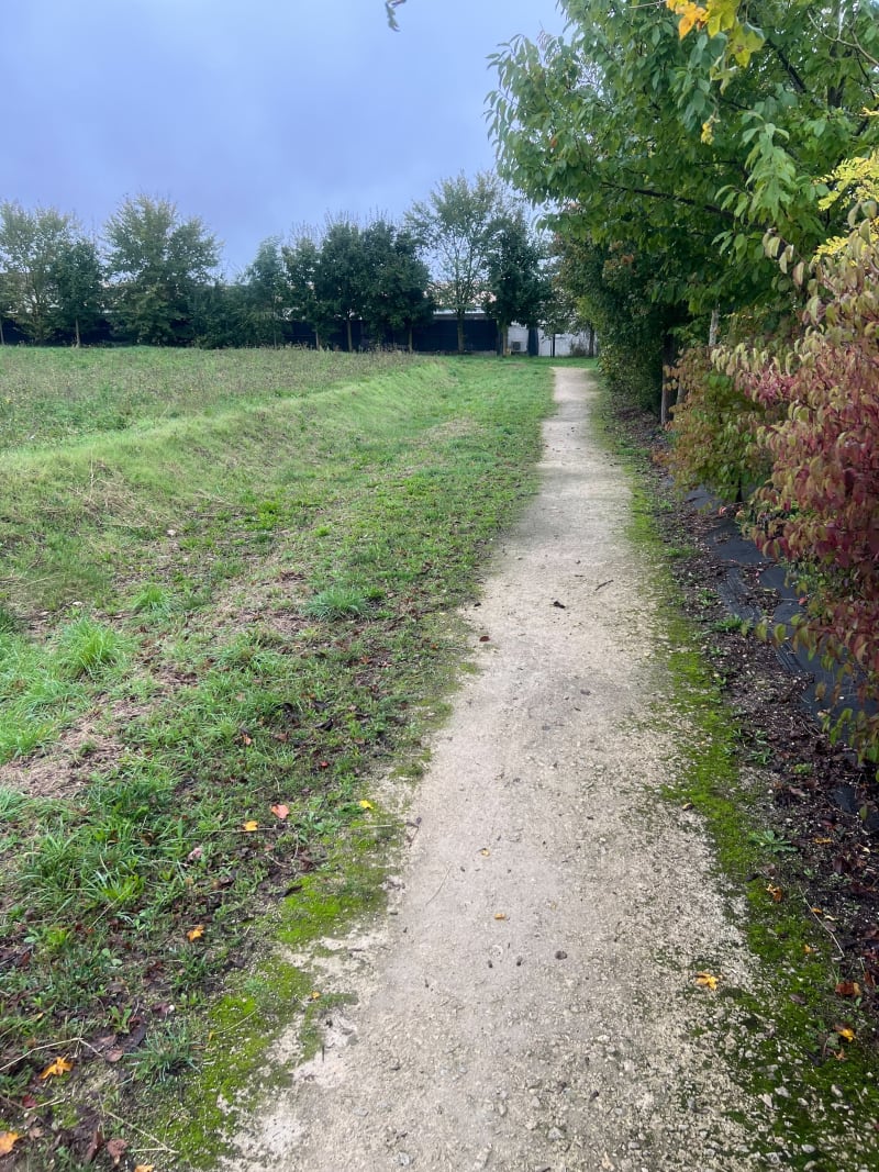 Plaine de Saint-Ouen-d'Aunis par Usseau - Saint-Ouen-d'Aunis