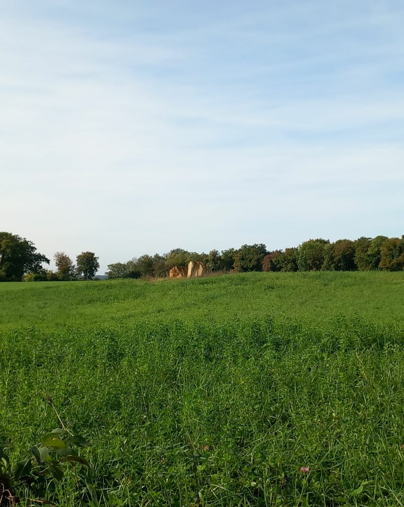 Les Larris - Anizy-le-Grand