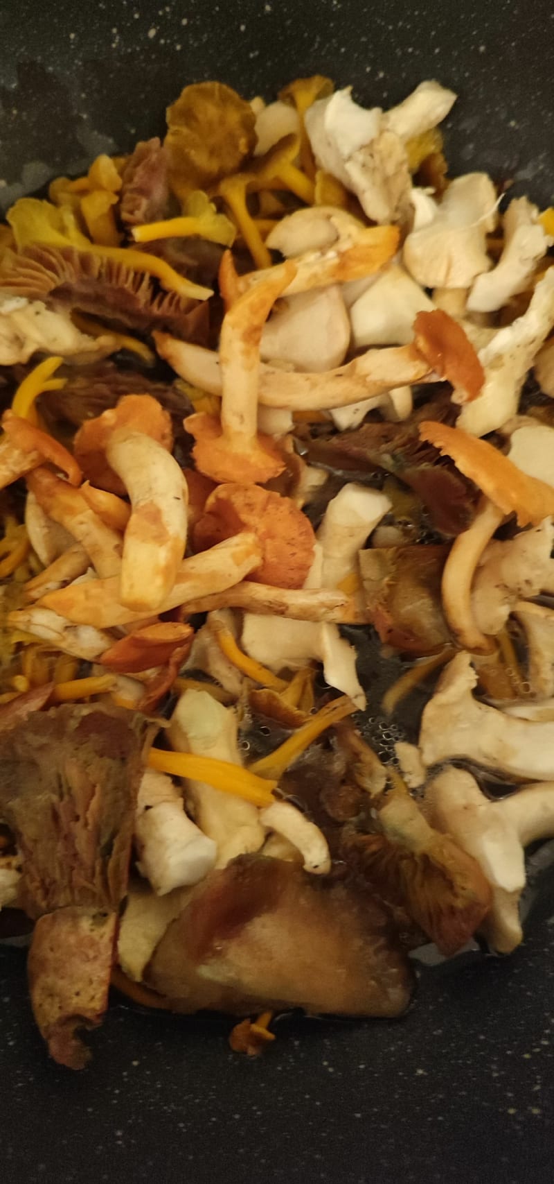 Balade au champignons - Roquefort-les-Pins
