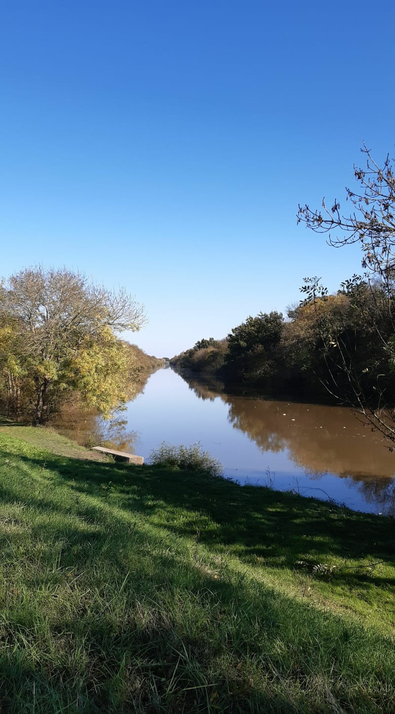 Tour de la Roseraie en passant par le Lauthion - Angers