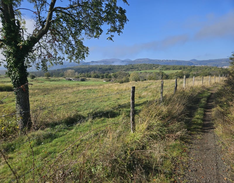 Plateau de Lachaud, de Châteaugay à Volvic par la forêt de M - Châteaugay
