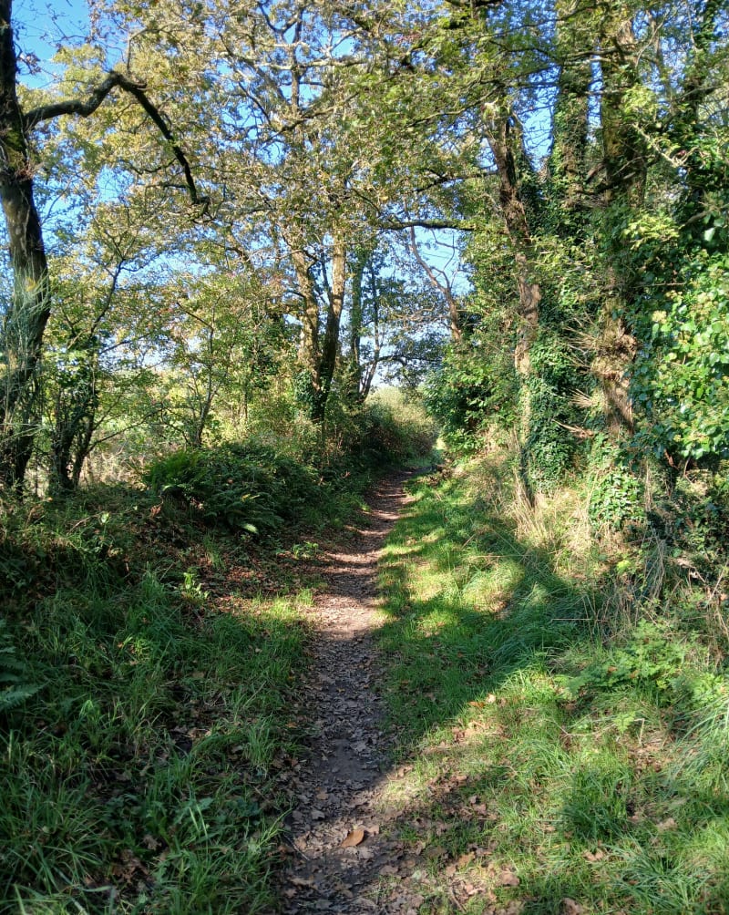 Couëron, l'arrière pays - Couëron