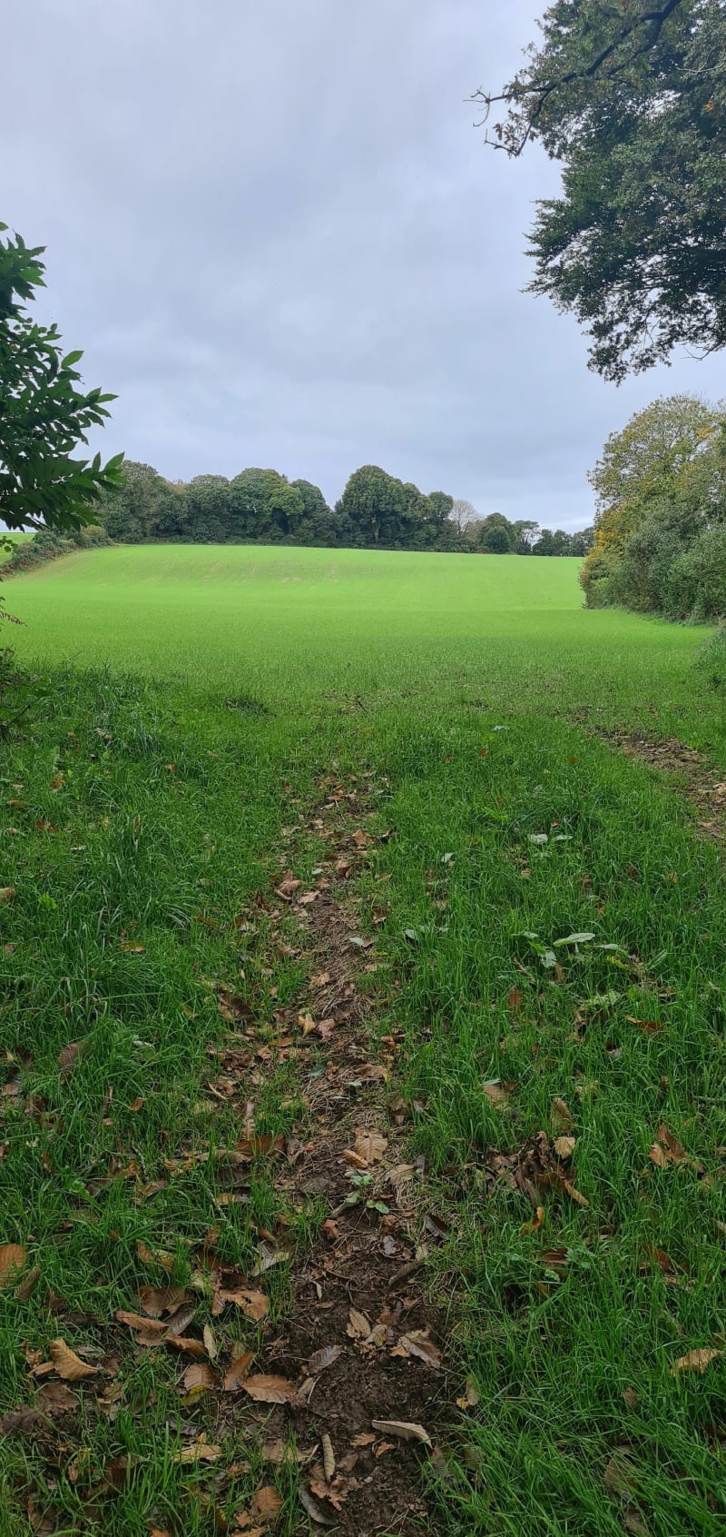 Promenade à Elven et sa périphérie. - Elven