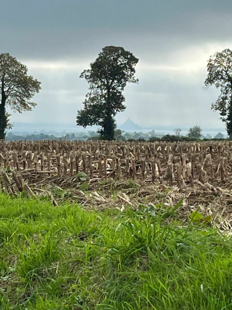 Rando autour de sartilly - Sartilly-Baie-Bocage