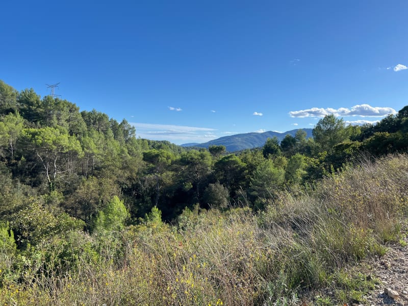 Boucle en forêt de Mouans-Sartoux - Mouans-Sartoux
