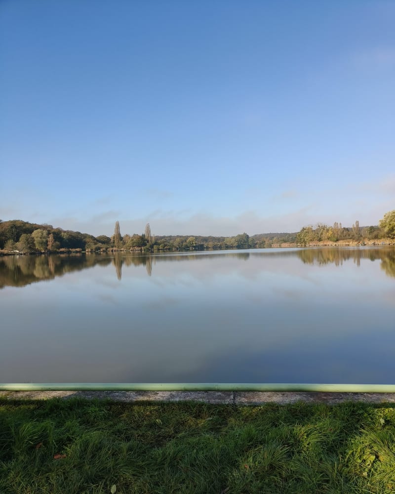 Promenade vers l'étang de Farschviller - Farschviller