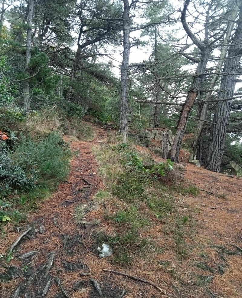 Boucle Roc'h hir et Coz Castel - Ploubazlanec