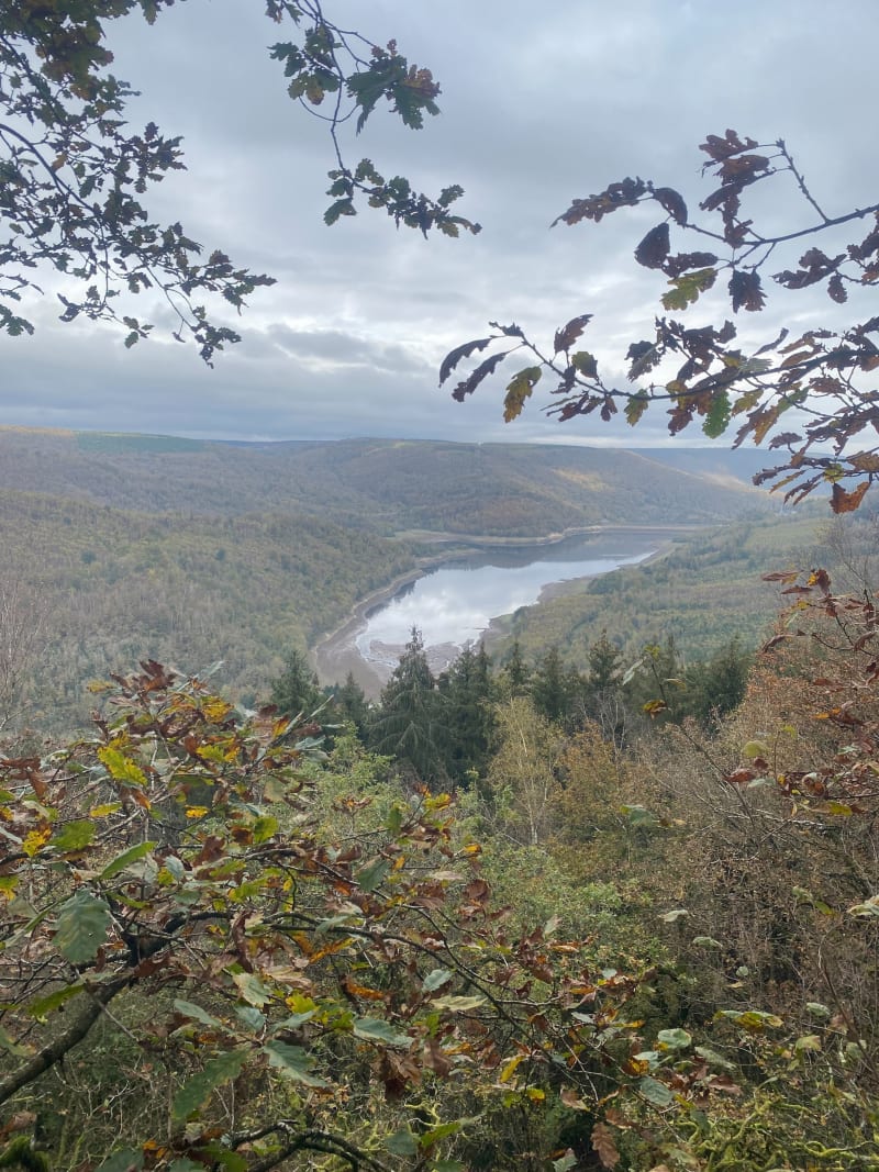 Balade forestière et nivelée - Les Mazures