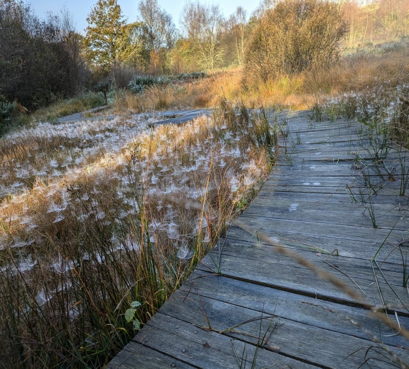 Du Canal de Nantes à Brest aux Landes de Lan Bern - Glomel