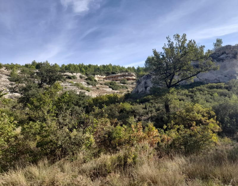 Marche au Montaiguet - Aix-en-Provence