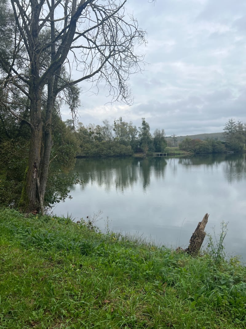 Étang de Monplaisir à Viry-Noureuil - Viry-Noureuil